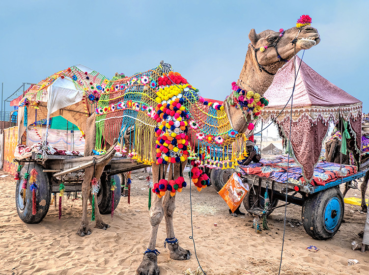 Pushkar Mela