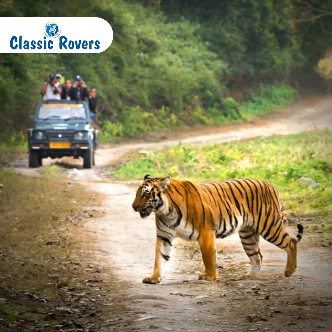 wildlife sanctuaries in India