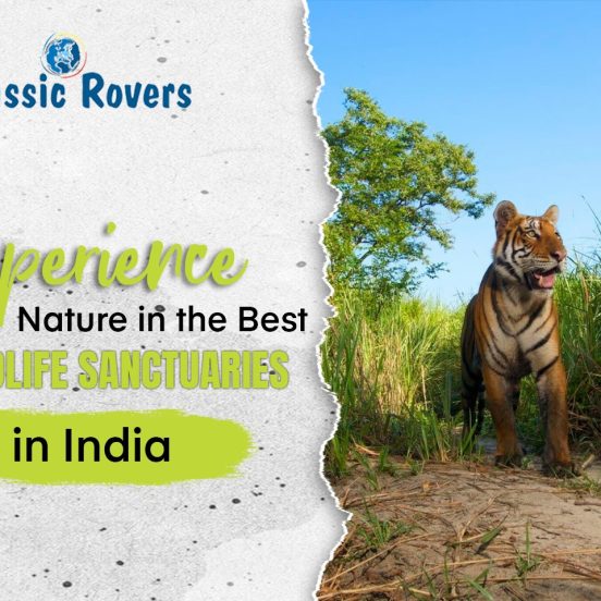 Experience Nature in the Best Wildlife Sanctuaries in India