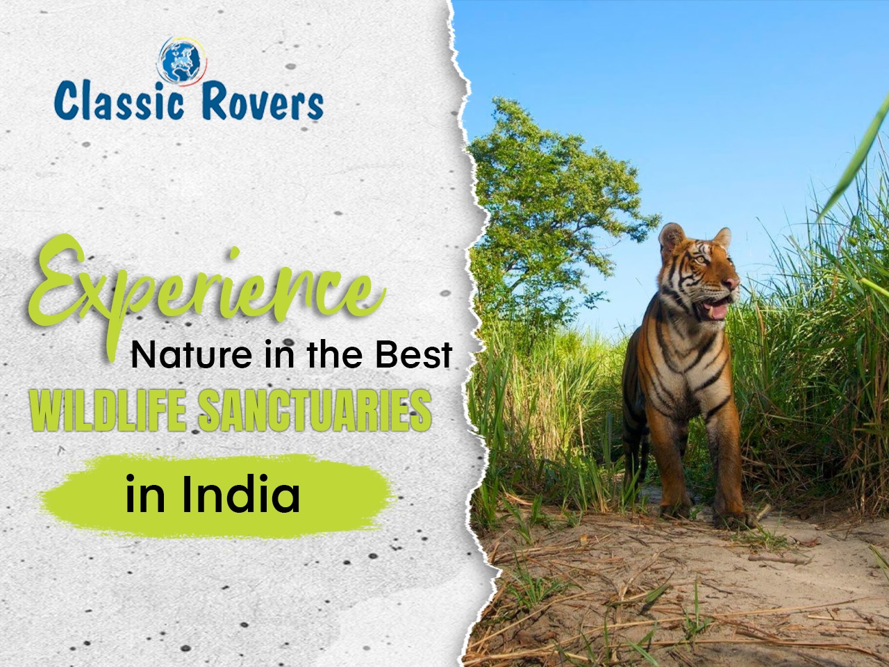 Experience Nature in the Best Wildlife Sanctuaries in India