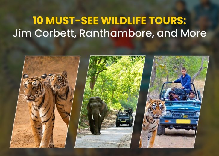 Jim Corbett