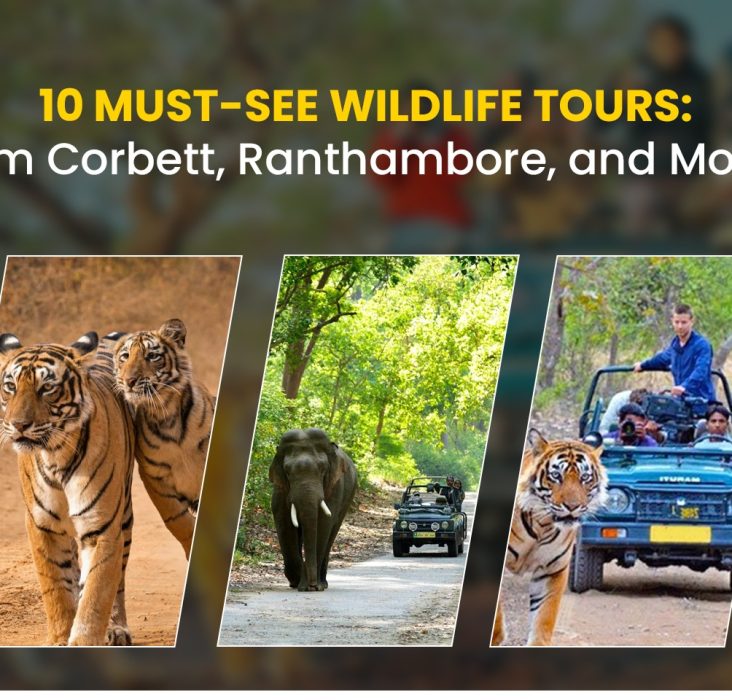 Jim Corbett