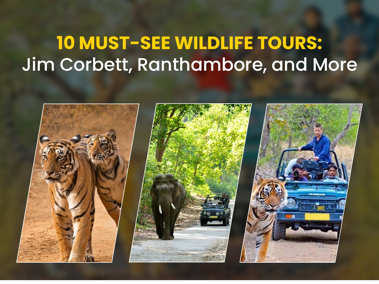 Jim Corbett