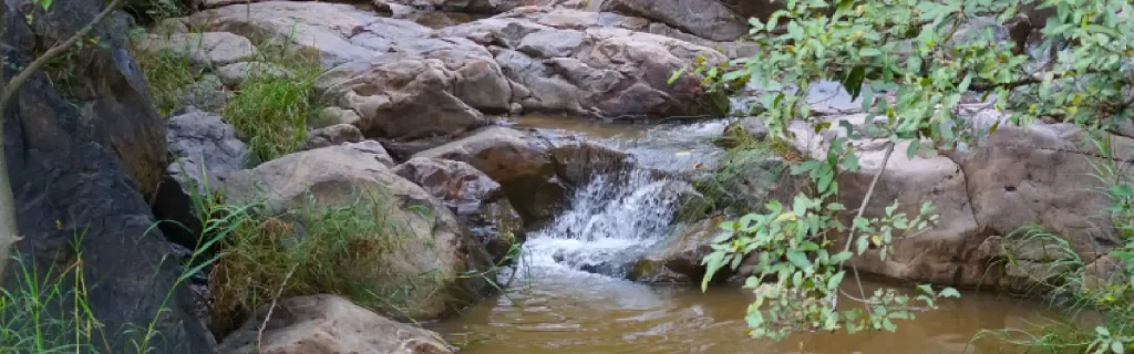 Unveiling the Hidden Waterfall Paradise of Rajasthan